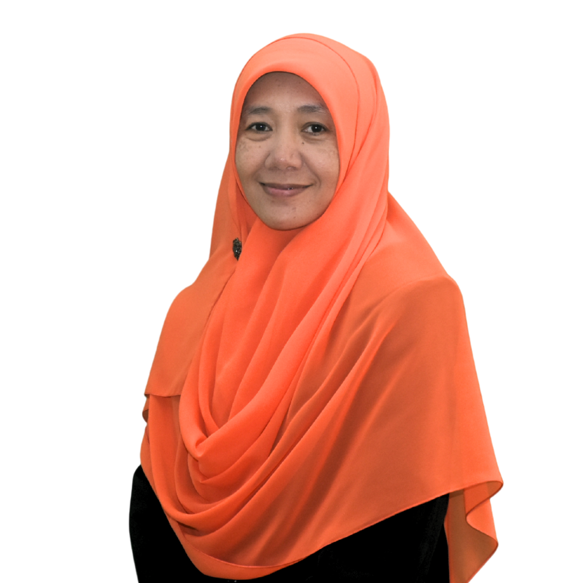 Mardiani, S.Pd. M.Eng.